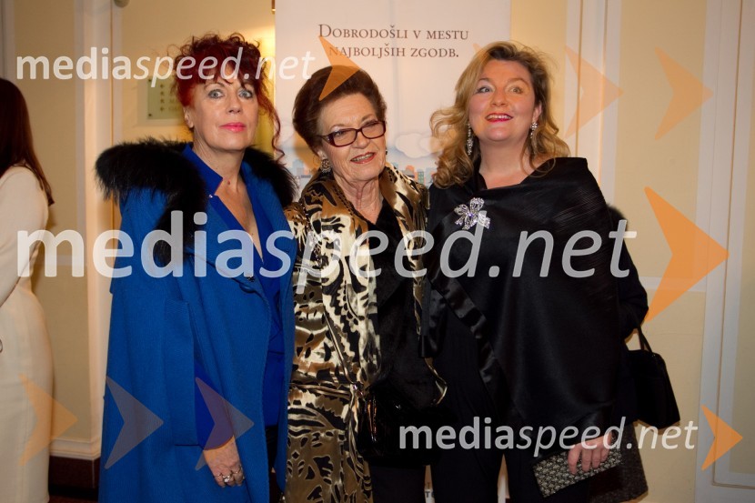 Irena Ognjenovič, lastnica butika Chic; Elza Budau; Evita Leskovšek, zdravnicaSlovenka leta 2013 je Eugenija Carl
