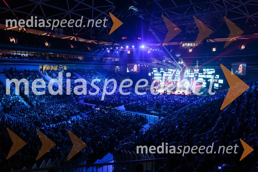 3. teden - Perpetuum Jazzile pred polnimi Stožicami, Sandi FišerLetno vinjeto 2014 prejme: Vika Remic!