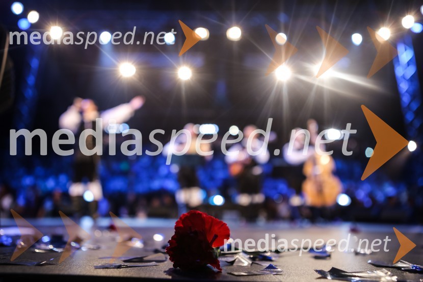 4. teden - Modrijani v 2x razprodani dvorani v Celju, Sandi FišerLetno vinjeto 2014 prejme: Vika Remic!