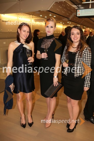 Veliki dobrodelni Lions ples 2014