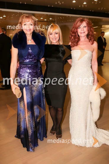  Lilijana Kastelic, oblikovalka;  Barbra Jermann, nekdanja urednica revije Suzy;  Darja Kuhar Kotnik, soustanoviteljica in podpredsednica Društva za zdravje narodaVeliki dobrodelni Lions ples 2014