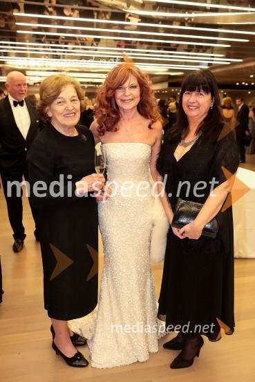  Štefka Kučan;  Darja Kuhar Kotnik, soustanoviteljica in podpredsednica Društva za zdravje naroda; dr. Sonja Novak Lukanovič, Filozofska fakulteta LjubljanaVeliki dobrodelni Lions ples 2014