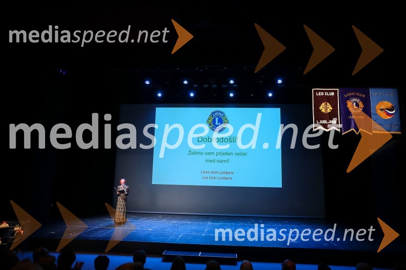  Darinka Pavlič Kamien, Telekom SlovenijeVeliki dobrodelni Lions ples 2014