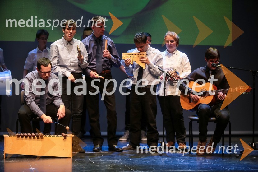 Varovanci VDC Dolfke Boštjančič med izvajanjem glasbenega programaVeliki dobrodelni Lions ples 2014