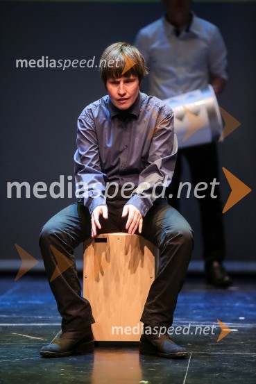 Glasba spremlja varovance VDC Dolfke BoštjančičVeliki dobrodelni Lions ples 2014