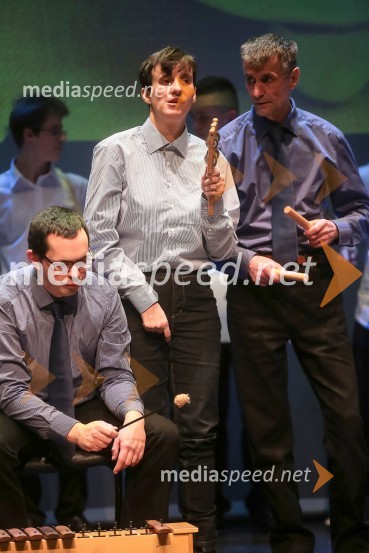 Glasbeniki VDC Dolfke Boštjančič&nbsp;Veliki dobrodelni Lions ples 2014