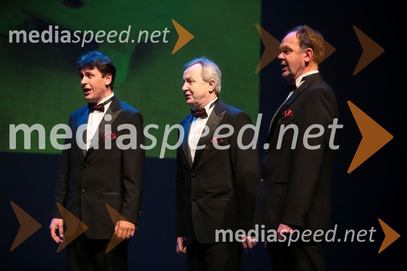 Oktet Zven iz Črnuč pri LjubljaniVeliki dobrodelni Lions ples 2014