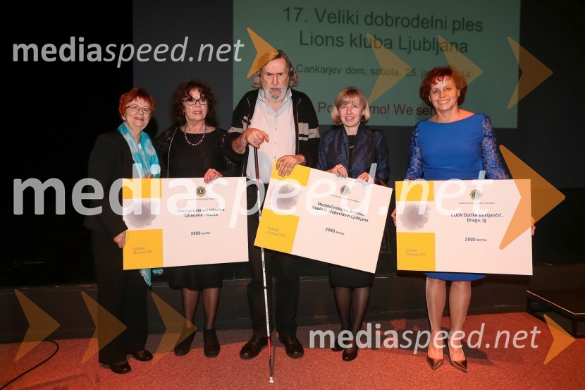  Erika Račič, ZPM Moste Polje;  Anita Ogulin, Zveza prijateljev mladine;  Luj Šprohar, Medobčinska zveza slepih in slabovidnih Ljubljana;  Zdenka Tomažič, Medobčinsko društvo slepih in slabovidnih Ljubljana; dr.  Valerija Bužan, direktorica VDC Dolfke BoštjaničičVeliki dobrodelni Lions ples 2014