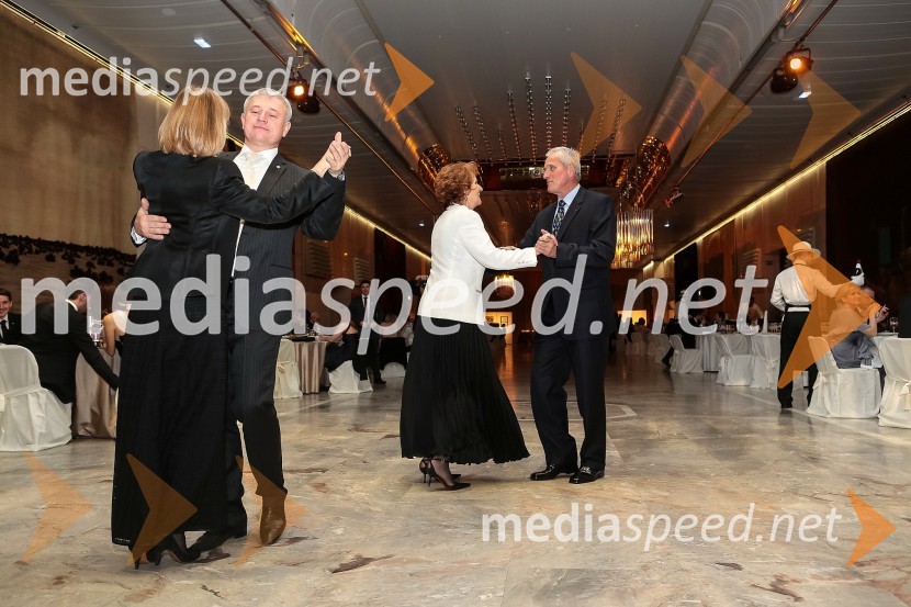 Veliki dobrodelni Lions ples 2014Veliki dobrodelni Lions ples 2014