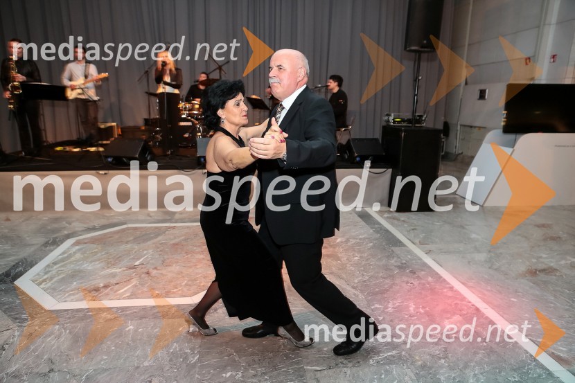 Veliki dobrodelni Lions ples 2014