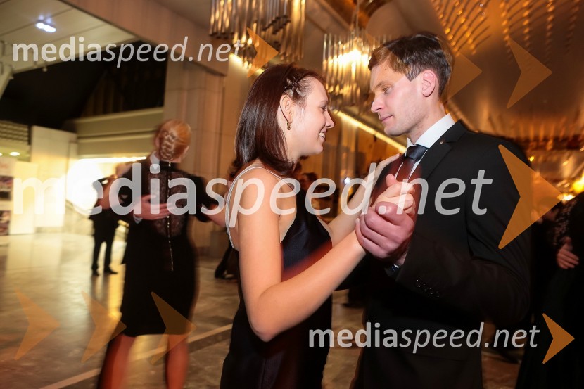 Veliki dobrodelni Lions ples 2014