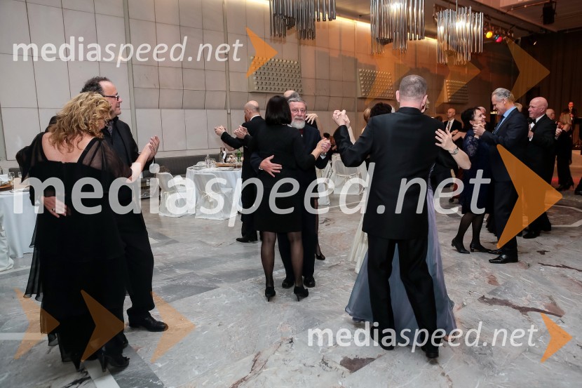 Veliki dobrodelni Lions ples 2014Veliki dobrodelni Lions ples 2014