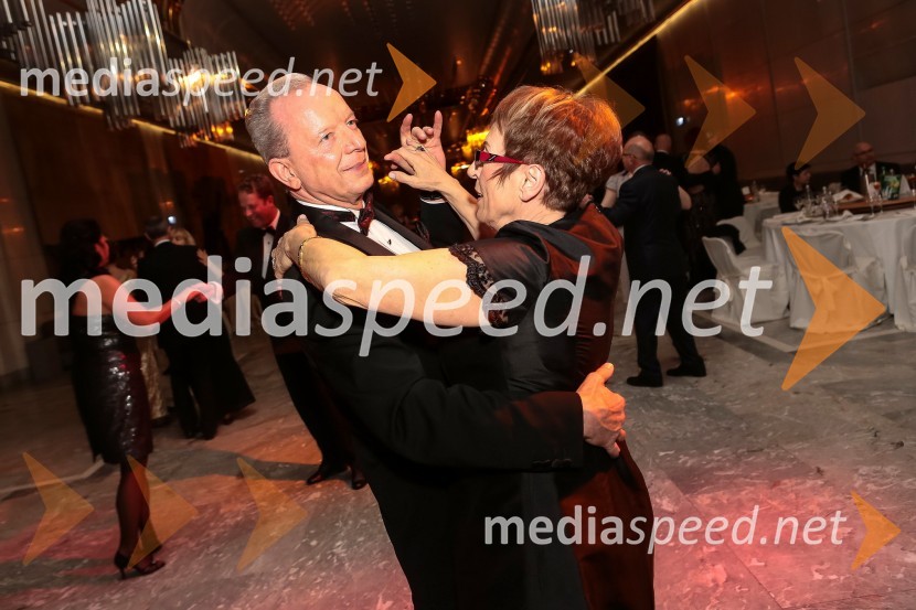 Veliki dobrodelni Lions ples 2014