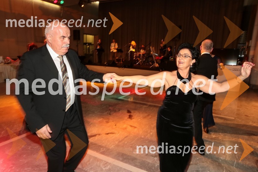 Veliki dobrodelni Lions ples 2014