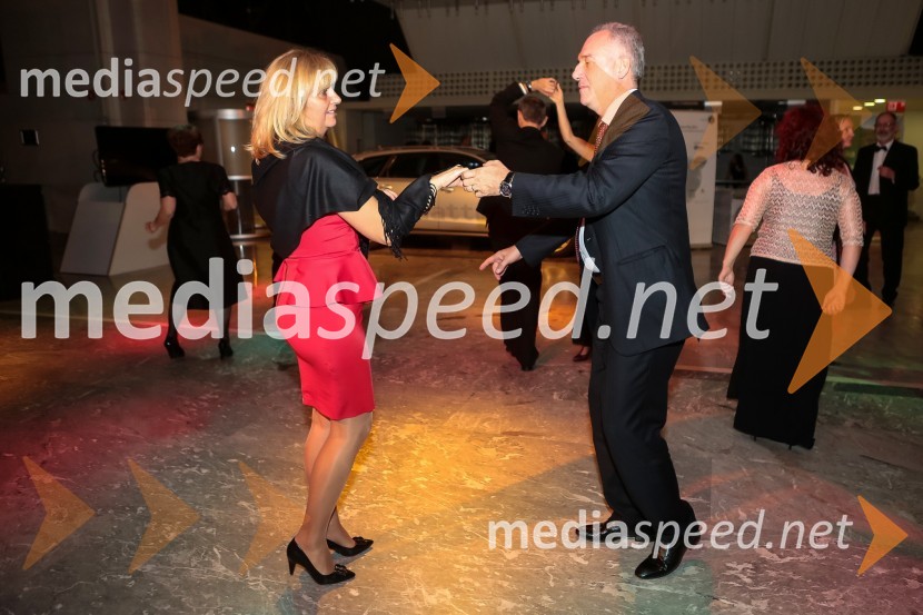 Veliki dobrodelni Lions ples 2014