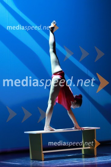  Neja Horvat, plesna šola UrškaVeliki dobrodelni Lions ples 2014