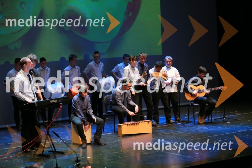 Varovanci VDC Dolfke Boštjančič med izvajanjem glasbenega programaVeliki dobrodelni Lions ples 2014