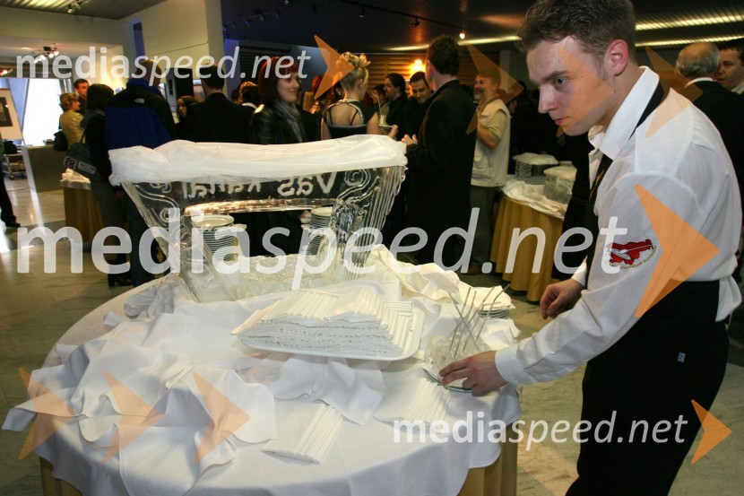 Ledena skulpturaIzbor naj voditelja TV Novo mesto