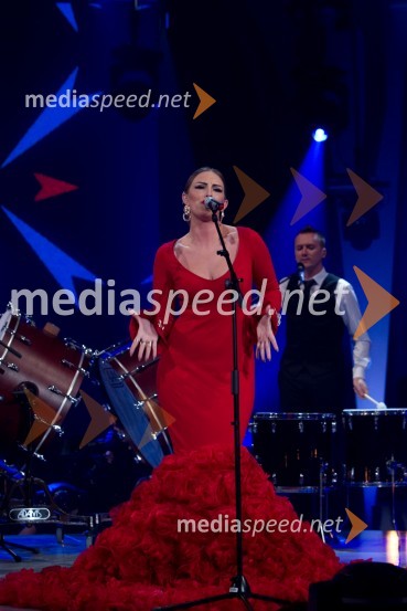  Senidah Hajdarpasić - Senidah, pevkaEMA 2014, zmagovalka je Tinkara Kovač!