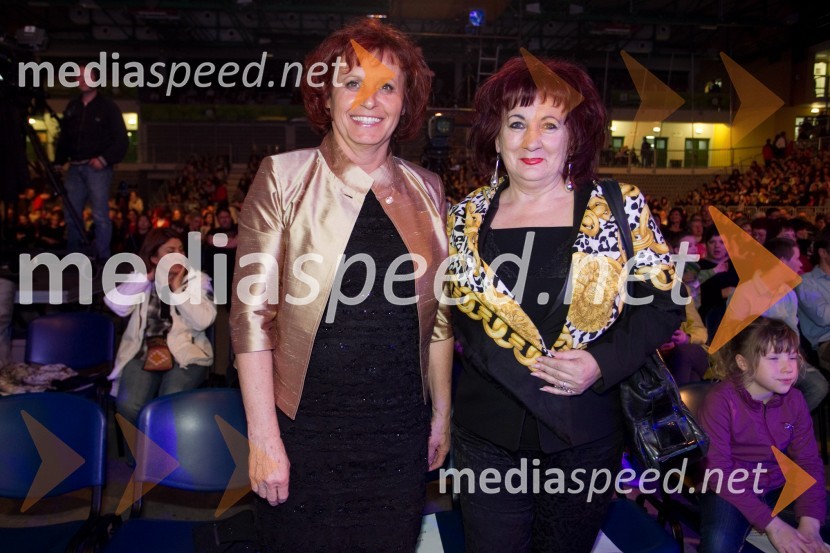 dr.  Valerija Bužan, direktorica VDC Dolfke Boštjaničič;  Vlasta Nussdorfer, varuhinja človekovih pravicArt-down-up, dobrodelni koncert