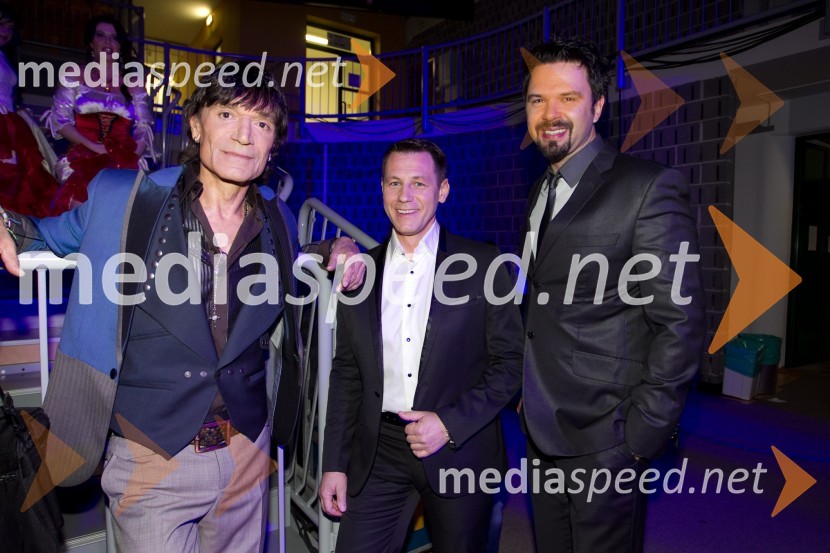  Jasmin Stavros, pevec;  Marko Vozelj, pevec;  Petar Grašo, pevecArt-down-up, dobrodelni koncert