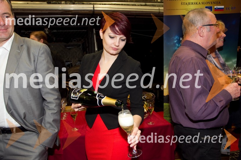  Andreja Novak, vodja marketinga, Radgonske goriceAnika Horvat in Klemen Klemen, koncert