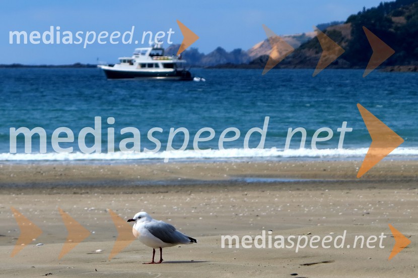 Otok Waiheke, Nova ZelandijaOtok Waiheke, Nova Zelandija