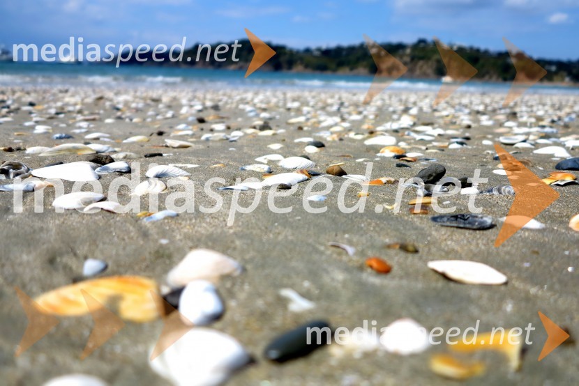 Otok Waiheke, Nova ZelandijaOtok Waiheke, Nova Zelandija