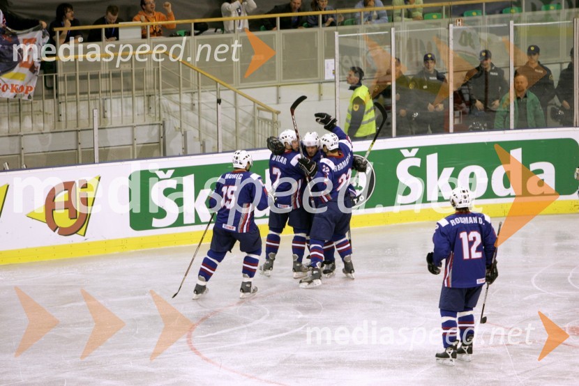 Del slovenske hokejske reprezentance med tekmo proti MadžarskiHokejska tekma med Slovenijo in Madžarsko