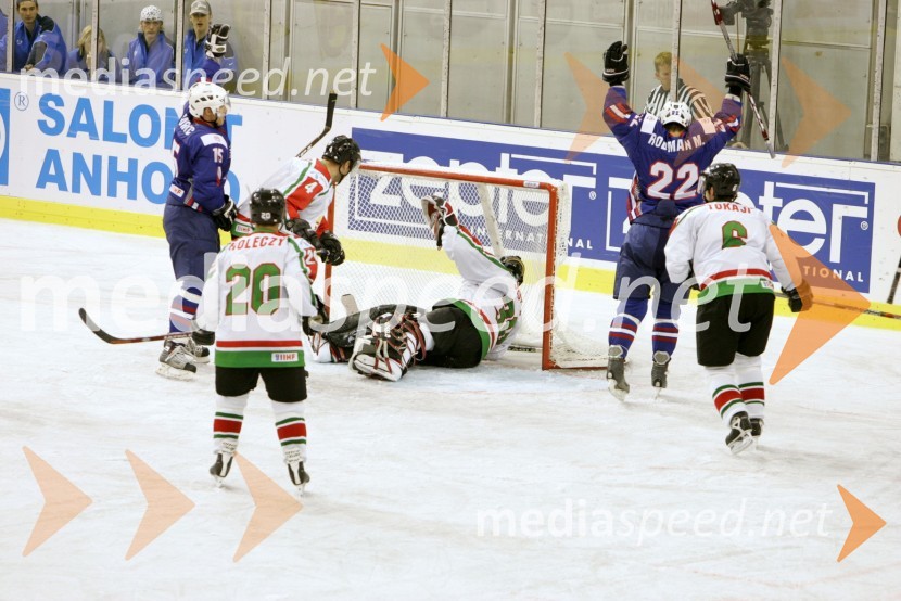 Hokejska tekma med Slovenijo in MadžarskoHokejska tekma med Slovenijo in Madžarsko
