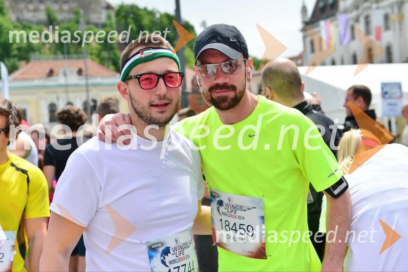 Mediaspeed Wings for life world run, Slovenija
