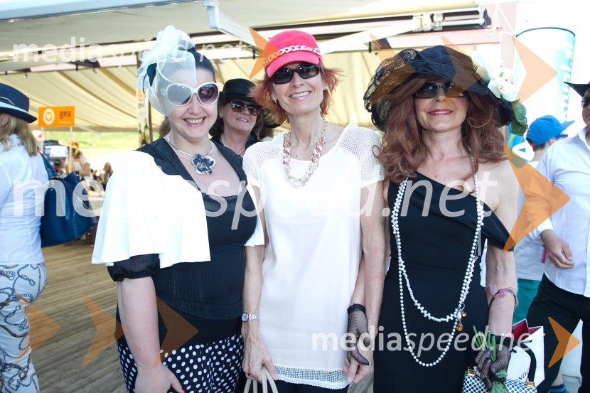  Katja Jurgec Bricman,  Porcelan Catbryur;  Darinka Pavlič Kamien, Telekom Slovenije;  Darja Kuhar Kotnik, soustanoviteljica in podpredsednica Društva za zdravje narodaLady piknik pod klobuki 2014