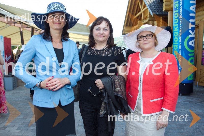  Tanja  Fajon, poslanka v Evropskem parlamentu;  Marta Krpič, glavna in odgovorna urednica revije Naša žena; dr. Anja Kopač Mrak, ministrica za delo, družino in socialne zadeveLady piknik pod klobuki 2014