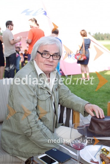  Lado  Leskovar, pevec in ambasador UnicefLady piknik pod klobuki 2014