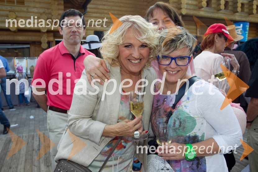  Alenka Godec, pevka;  ... Lady piknik pod klobuki 2014