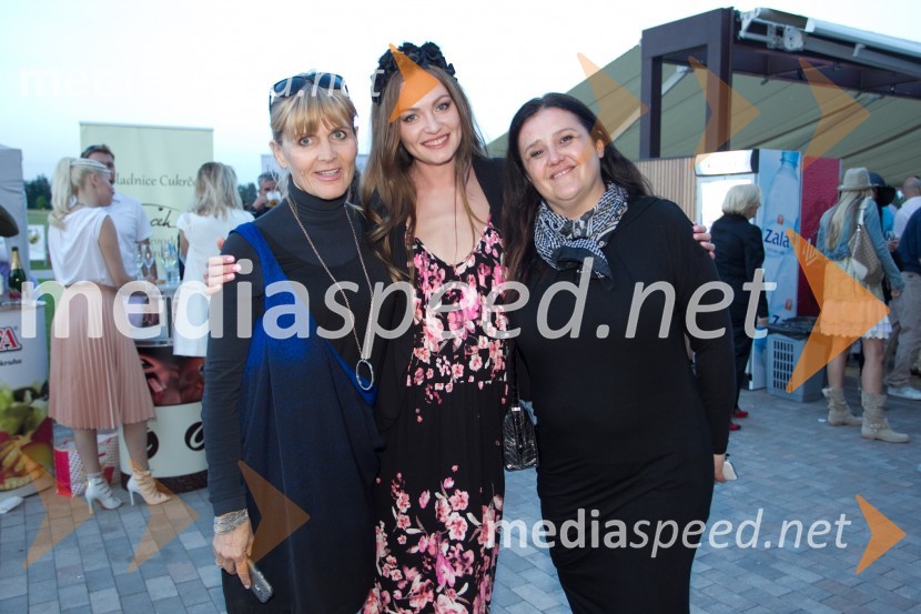  Dada  Jerovšek, Kaval Group;  Iryna Osypenko, menekenka;  Višnja Gavran, Krater MediaLady piknik pod klobuki 2014