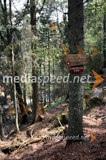 Slap ŠumikSlap Šumik