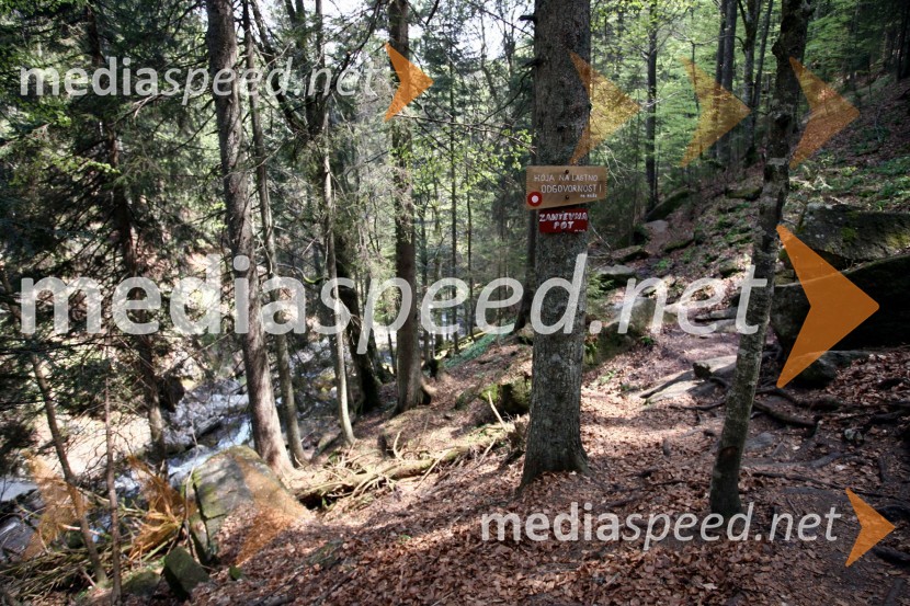 Slap ŠumikSlap Šumik