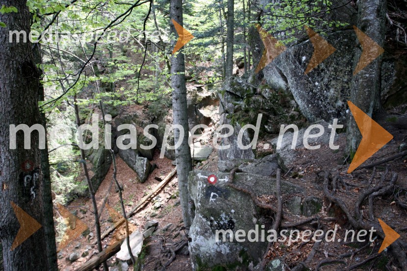 Slap ŠumikSlap Šumik