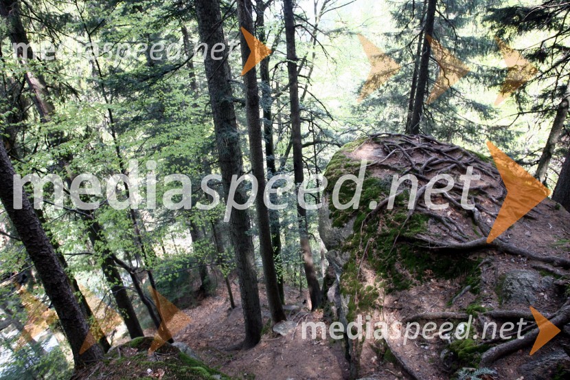 Slap ŠumikSlap Šumik