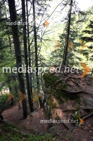 Slap ŠumikSlap Šumik