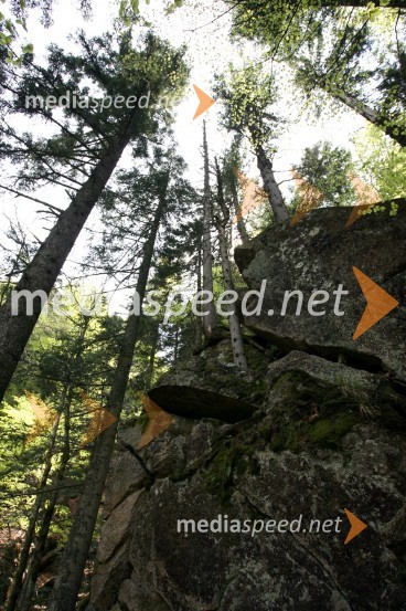 Slap ŠumikSlap Šumik