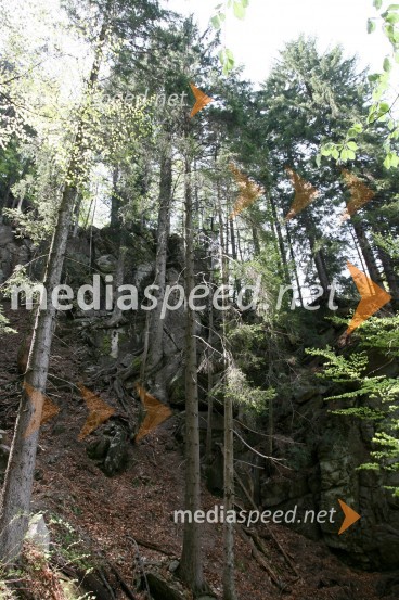 Slap ŠumikSlap Šumik