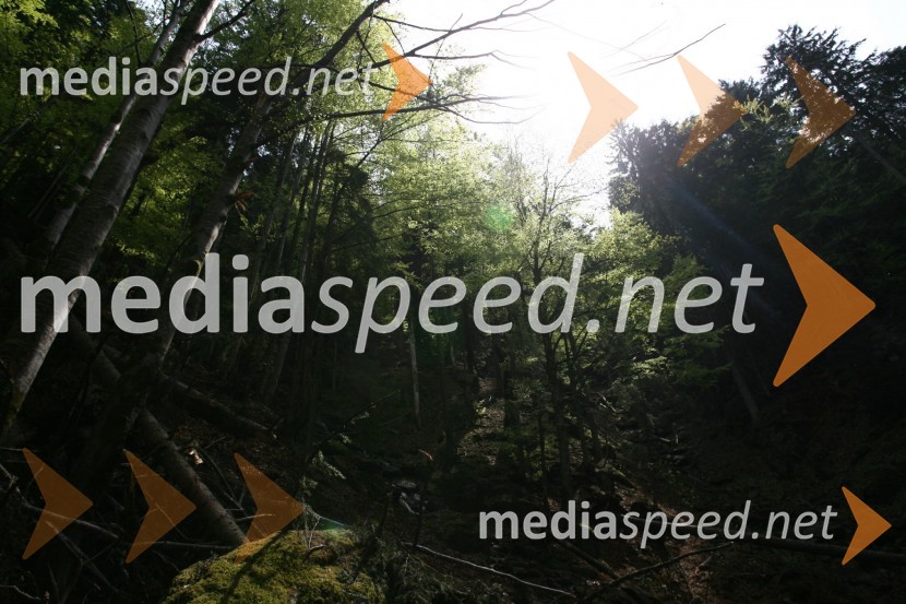 Slap ŠumikSlap Šumik