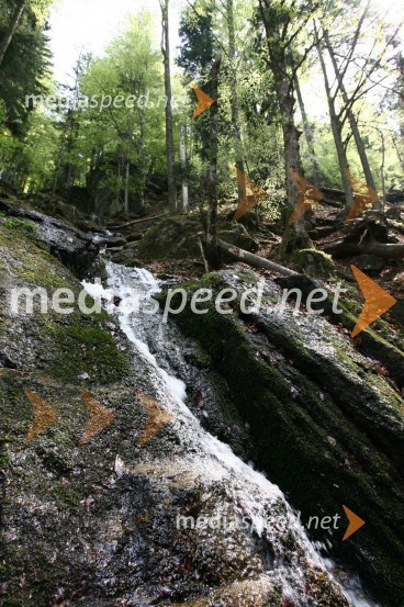 Slap ŠumikSlap Šumik