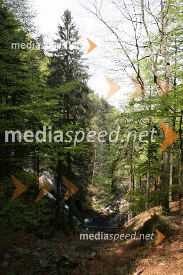 Slap ŠumikSlap Šumik