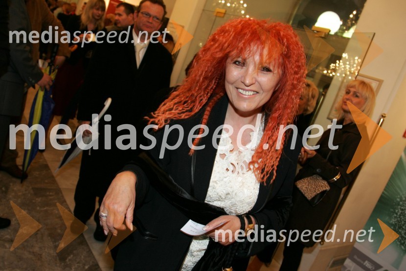 Irena Polanec, slikarkaTesla Electric Company, predstava Pandur Theaters v SNG Maribor