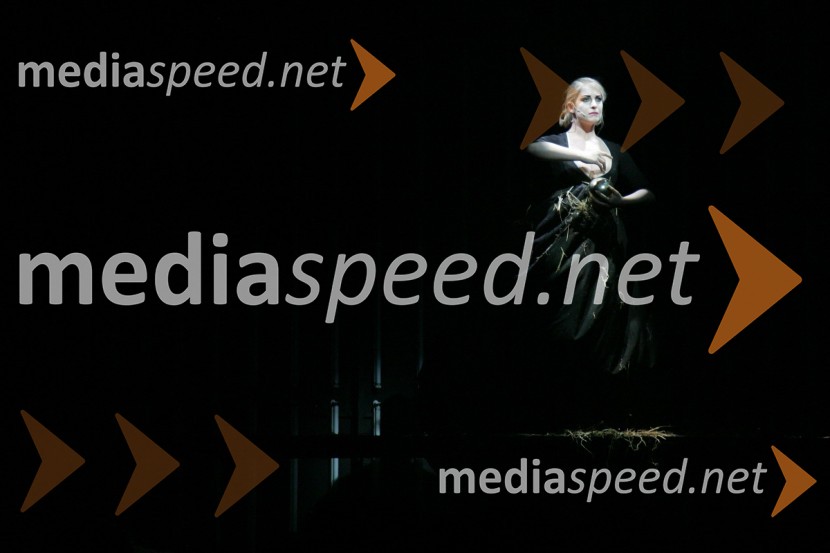 Prizor iz predstave Tesla Electric CompanyTesla Electric Company, predstava Pandur Theaters v SNG Maribor