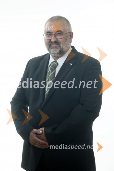  Vitomir Bric, Slovenska ljudska strankaSlovenska ljudska stranka, kandidati na volitvah v DZ