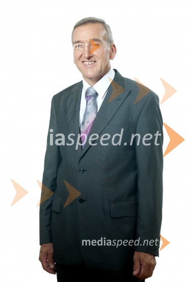  Pavle Štrubelj, Slovenska ljudska strankaSlovenska ljudska stranka, kandidati na volitvah v DZ